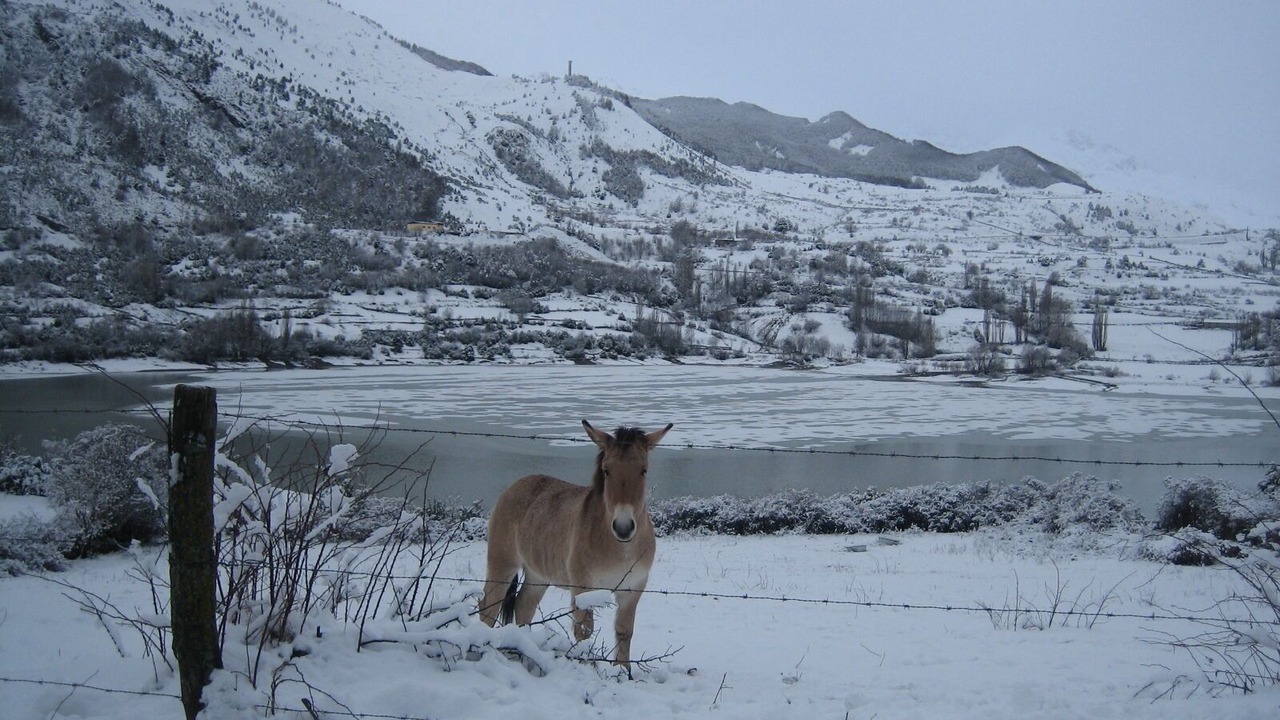 Photo of Others in Panticosa
