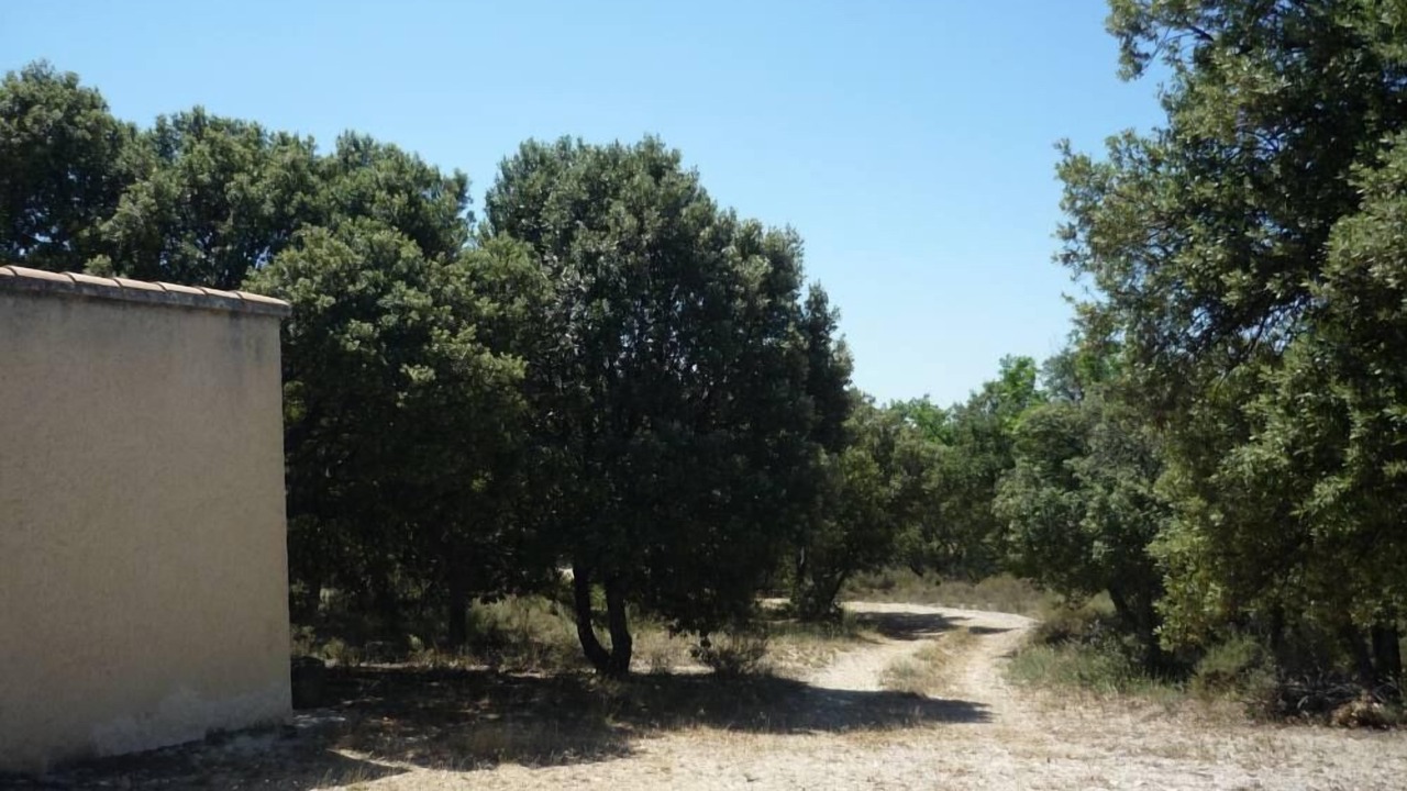 Photo of Outdoor in Bedoin