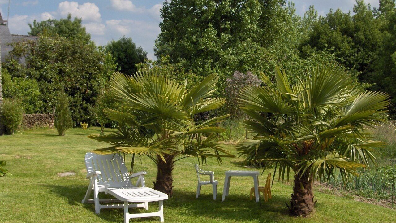 Photo of Outdoor in La Bouexiere