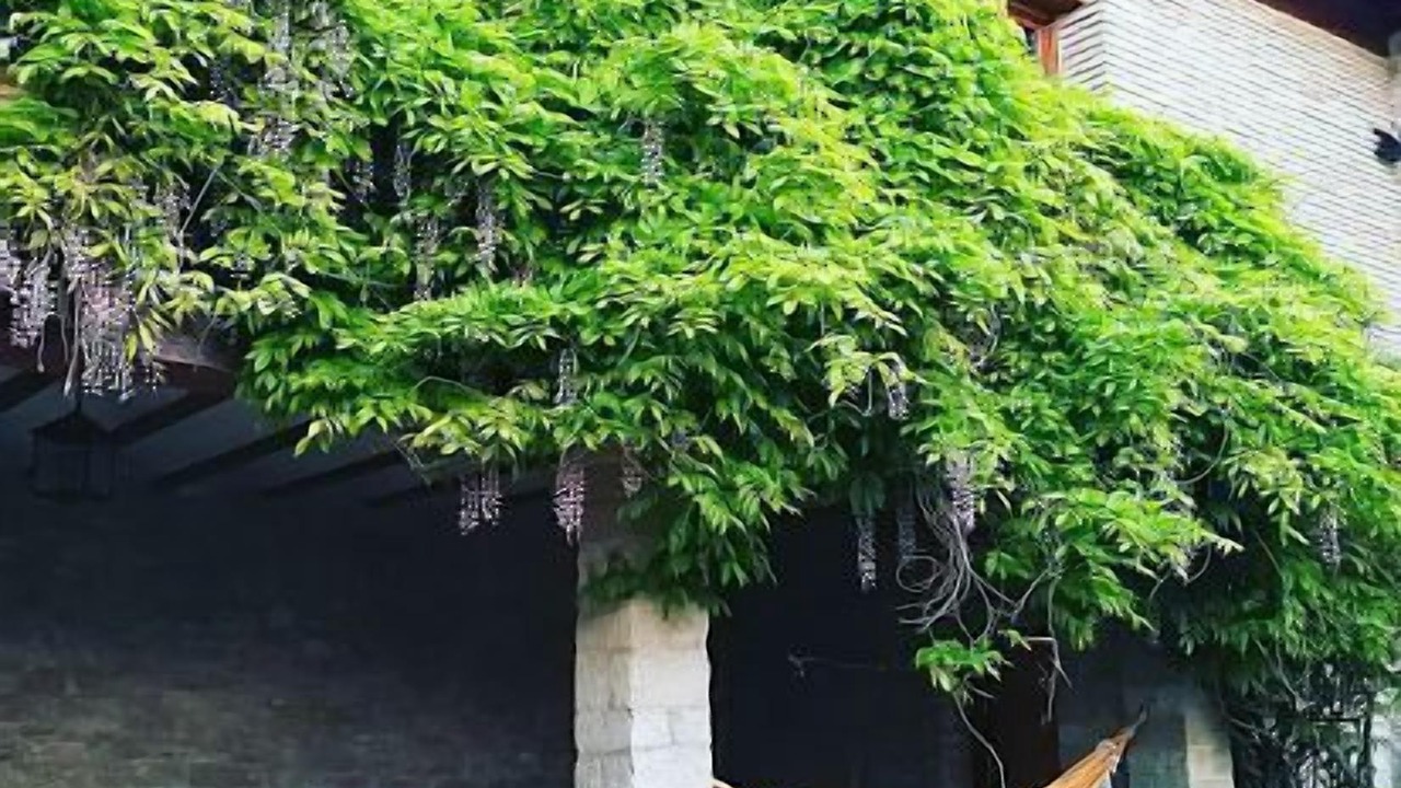 Photo of Patio Balcony in Etxauri