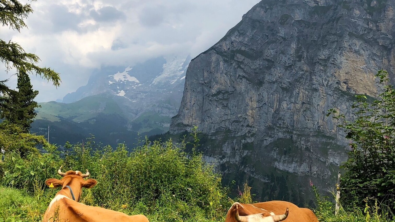 Photo of Others in Lauterbrunnen