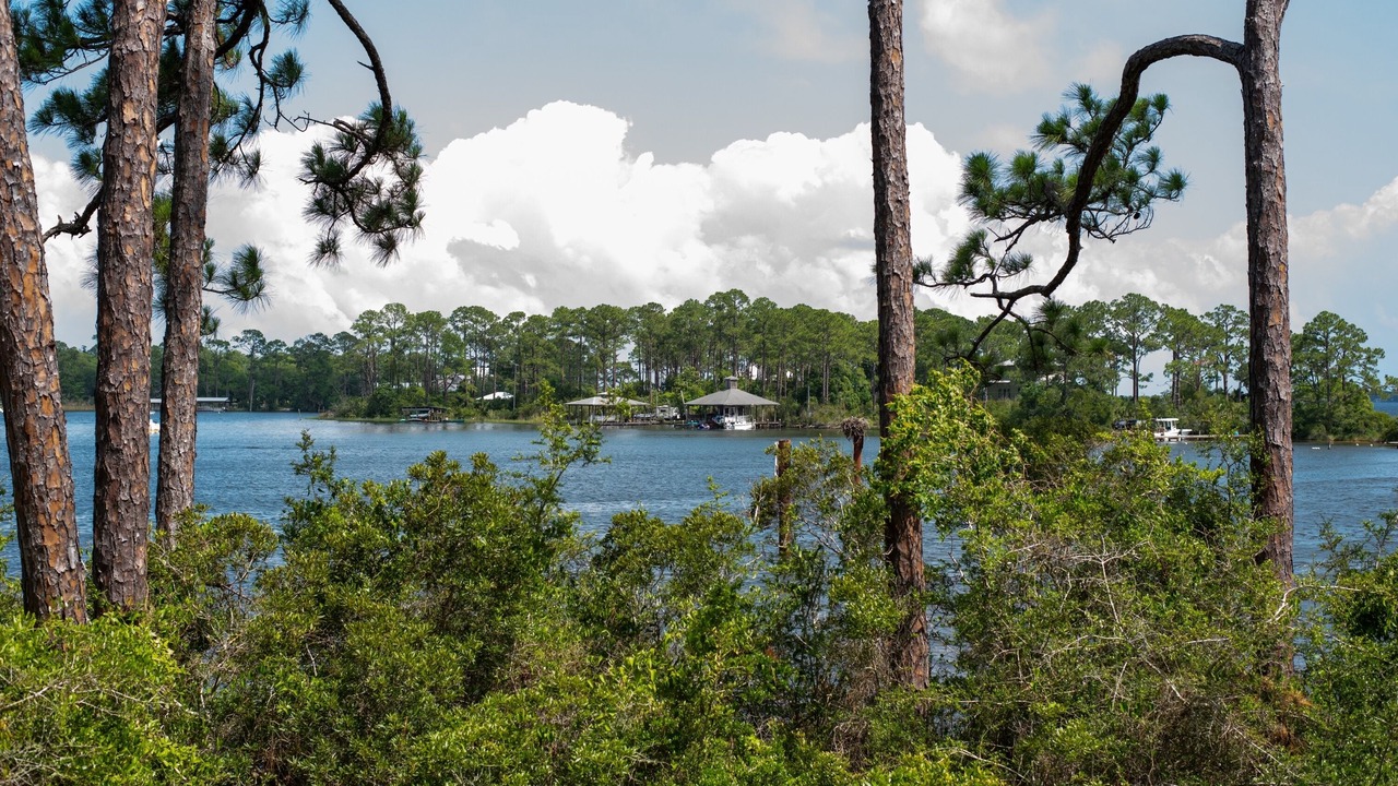 Photo of Outdoor in Perdido Beach