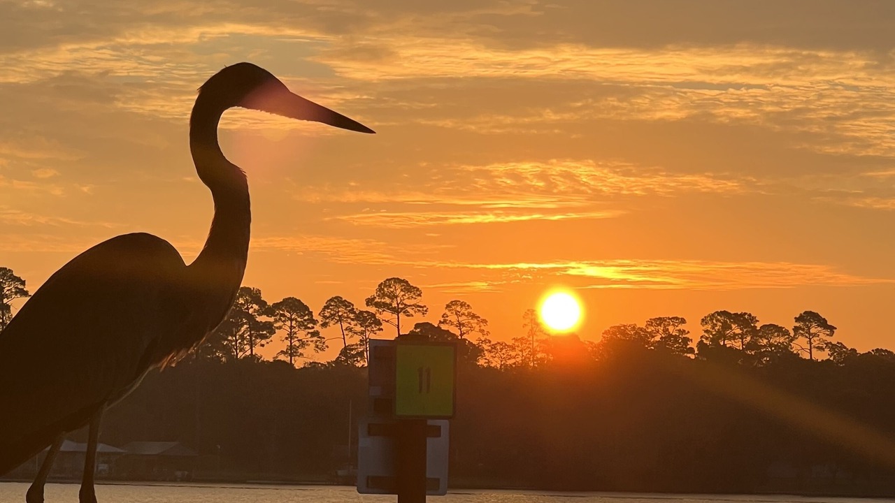 Photo of Others in Perdido Beach