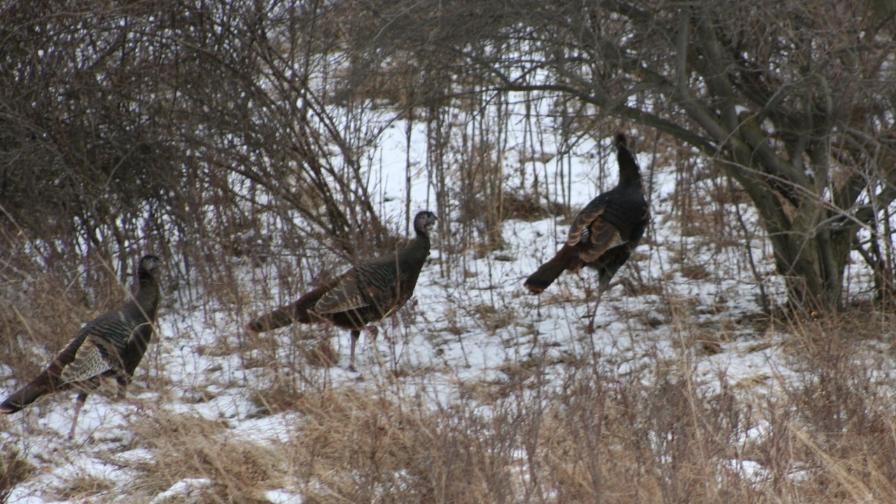 Photo of Others in Middlesex