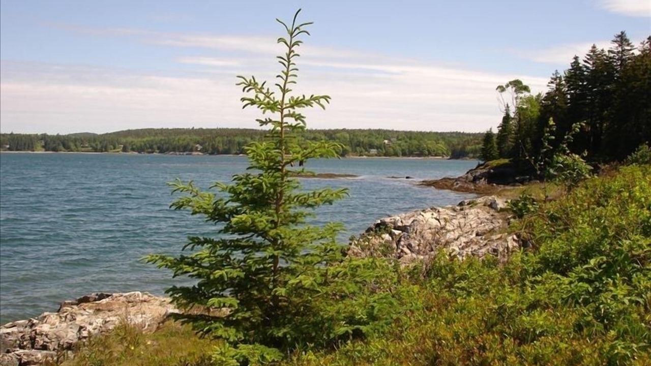 Photo of Others in Sorrento