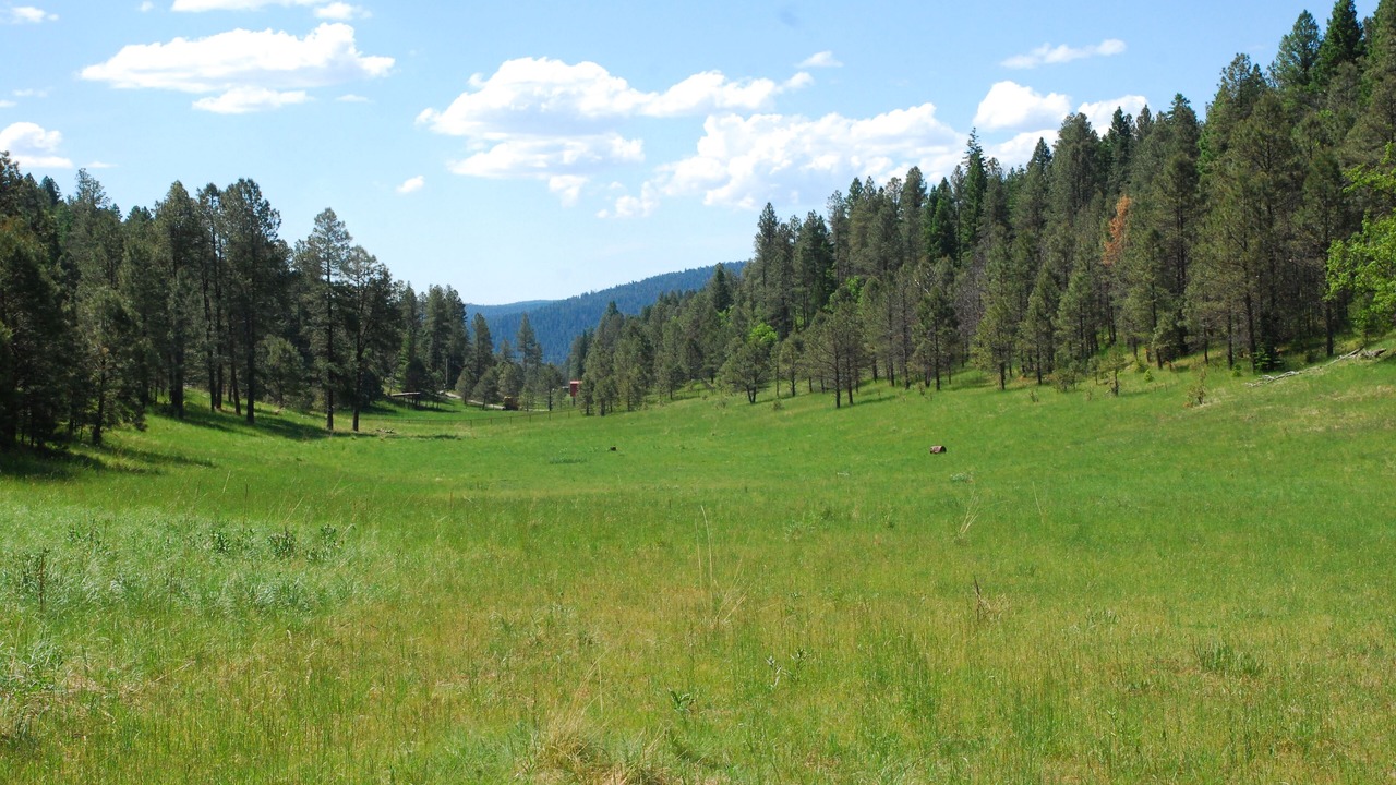 Photo of Others in Cloudcroft
