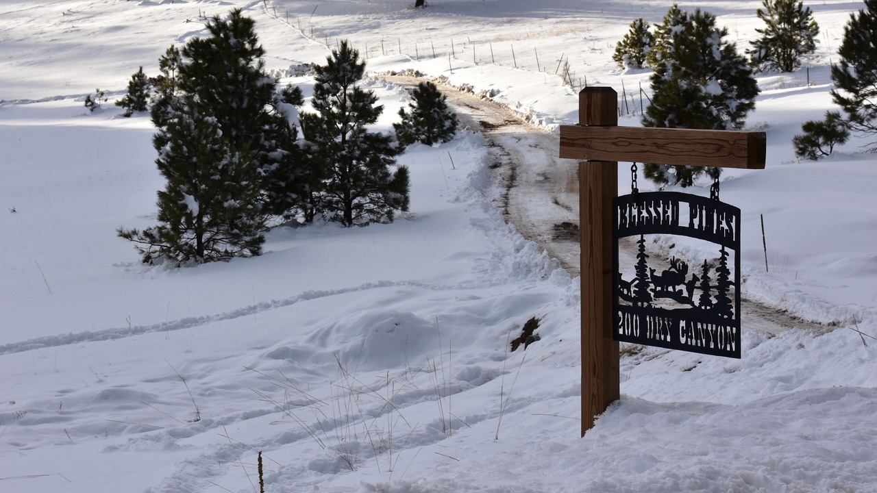 Photo of Others in Cloudcroft