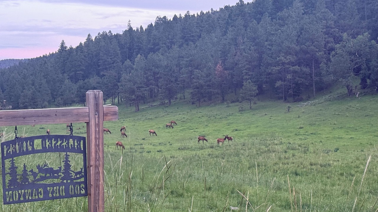 Photo of Others in Cloudcroft