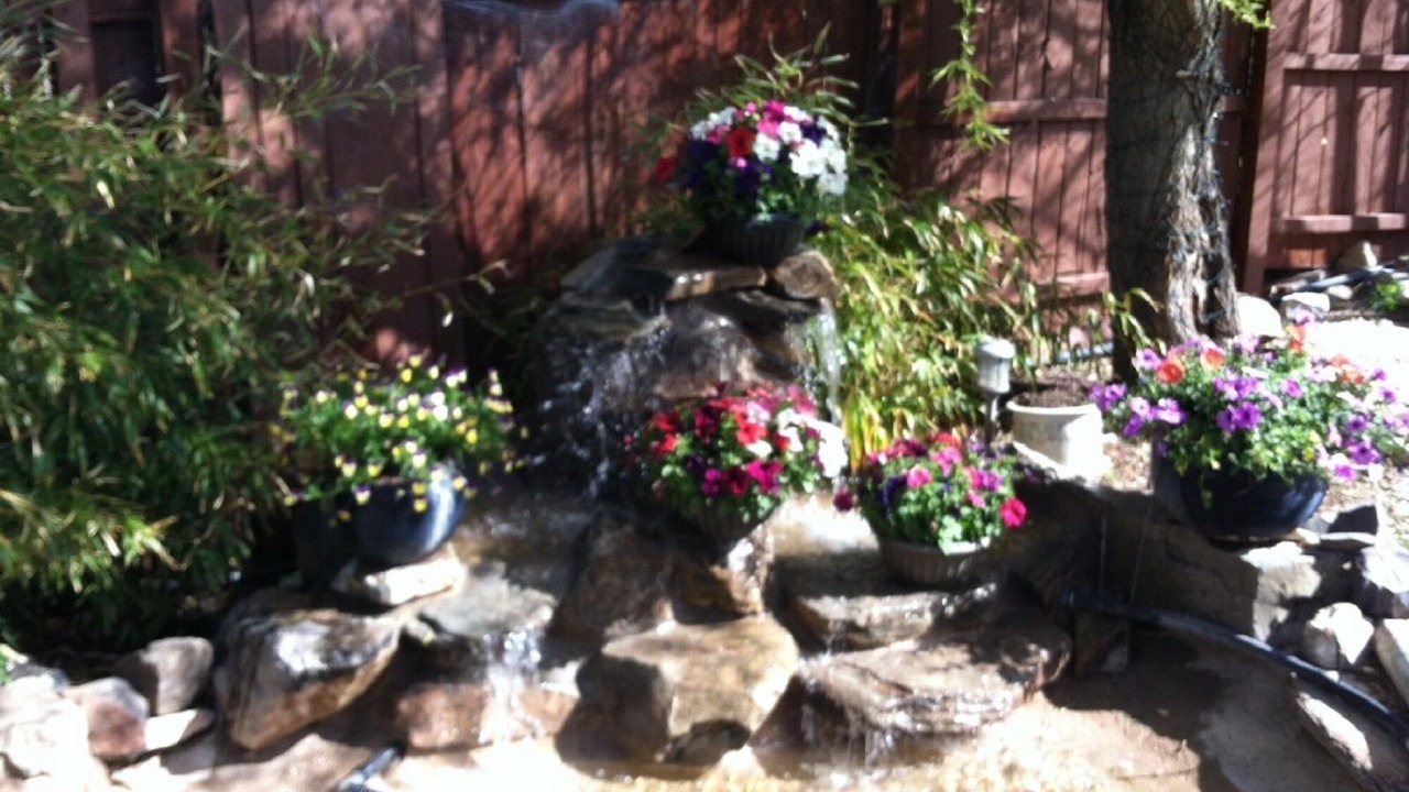 Photo of Outdoor in Sandia Heights South