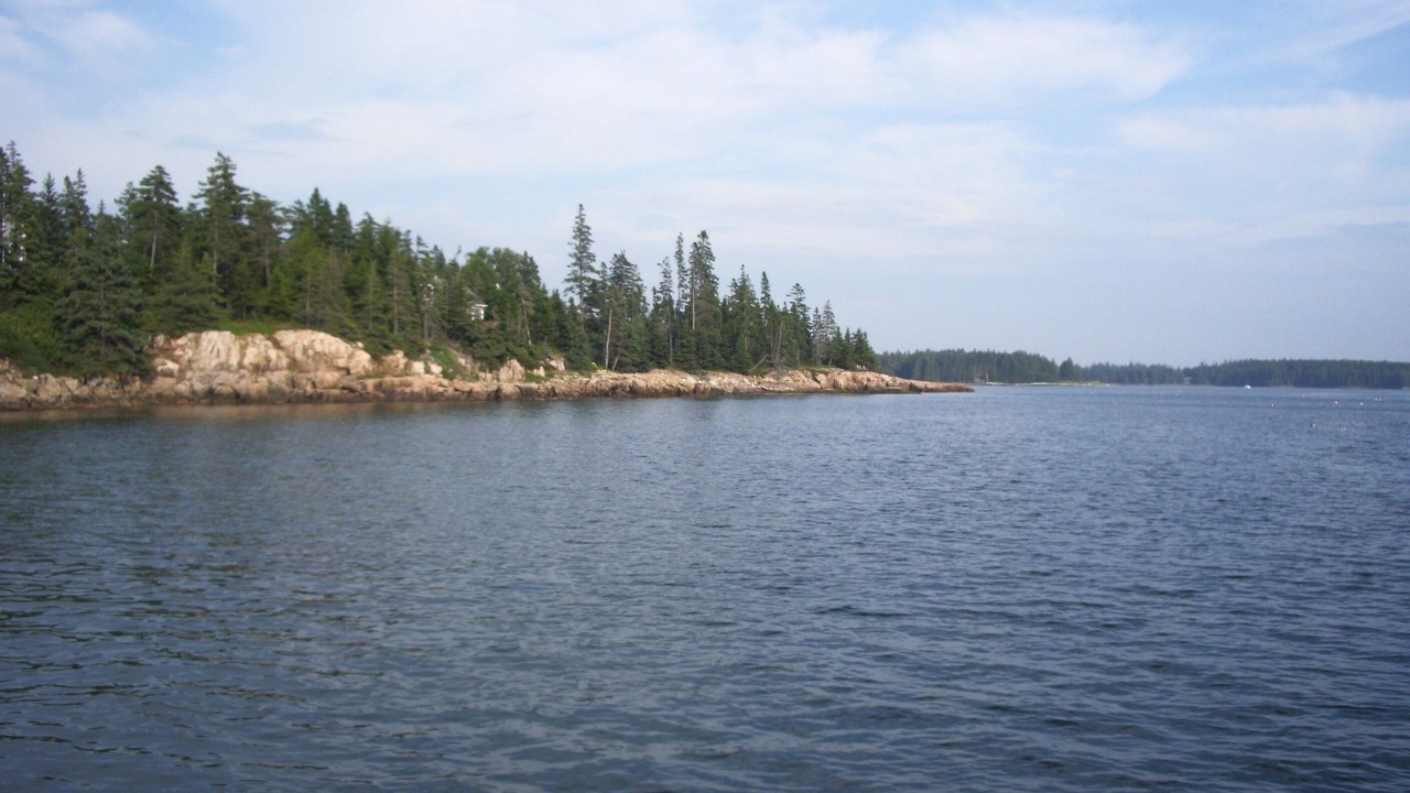 Photo of Others in Bernard