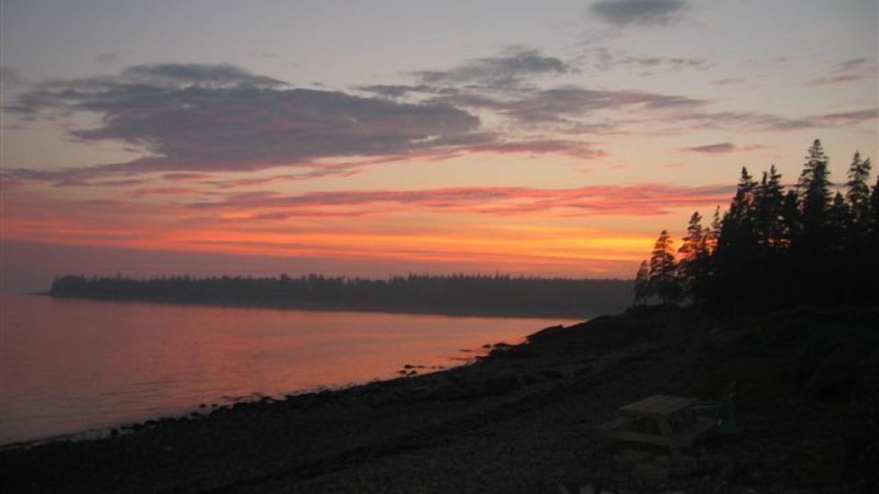 Photo of Others in Bernard