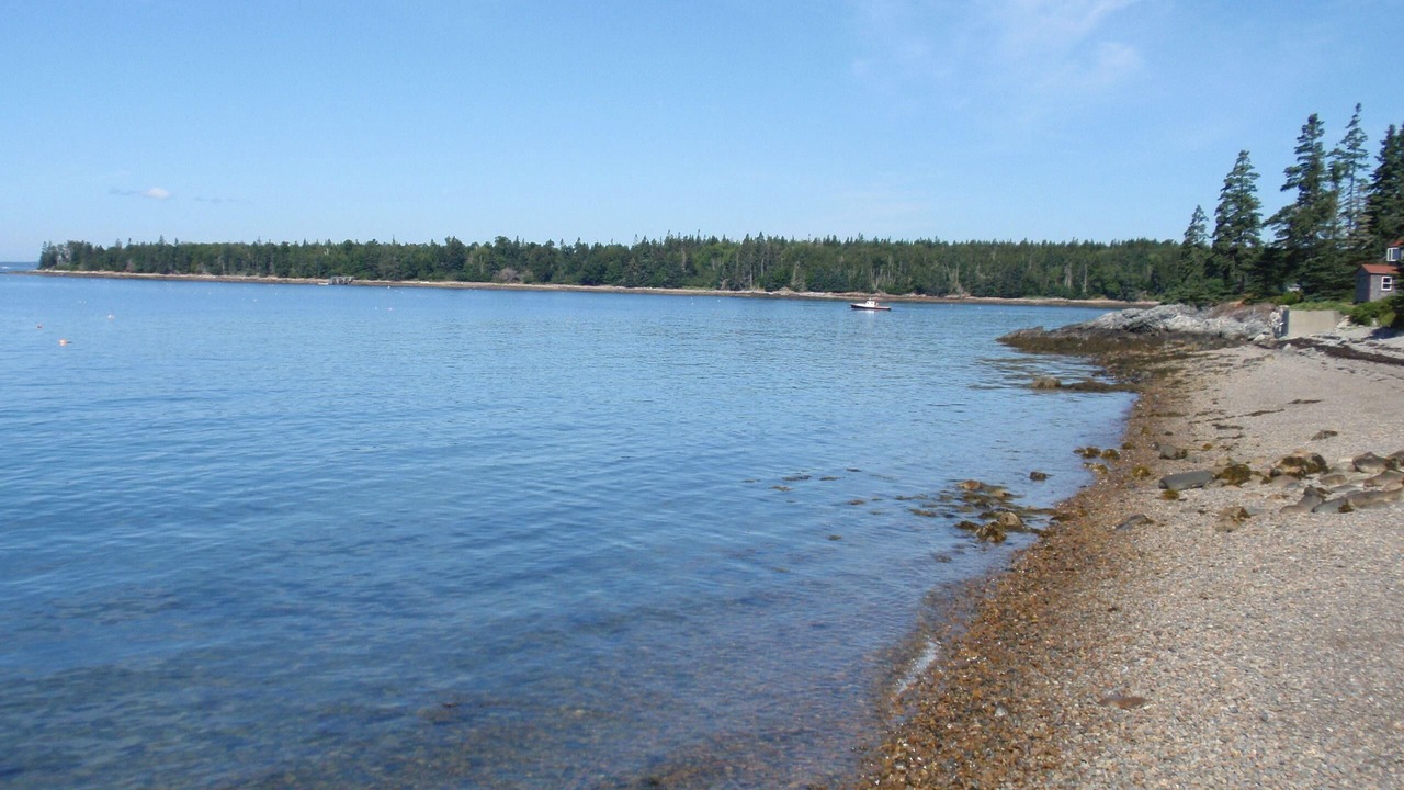 Photo of Others in Bernard