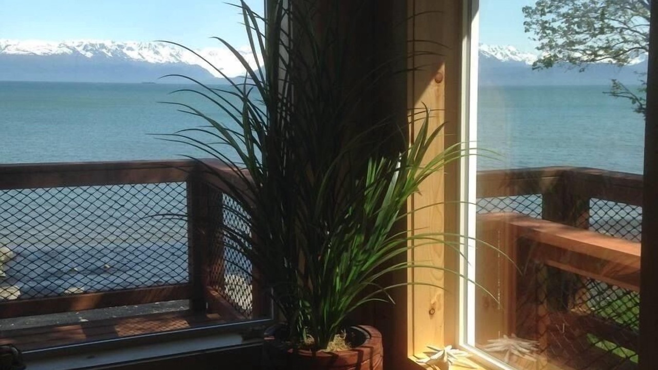 Photo of Others in Homer
