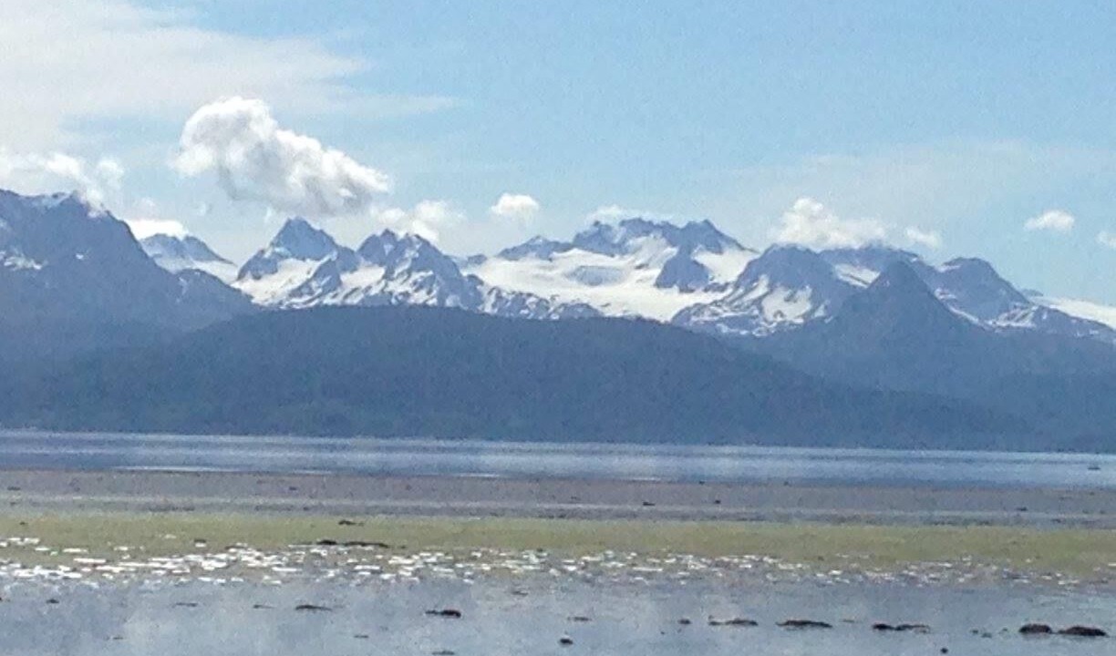 Photo of Others in Homer