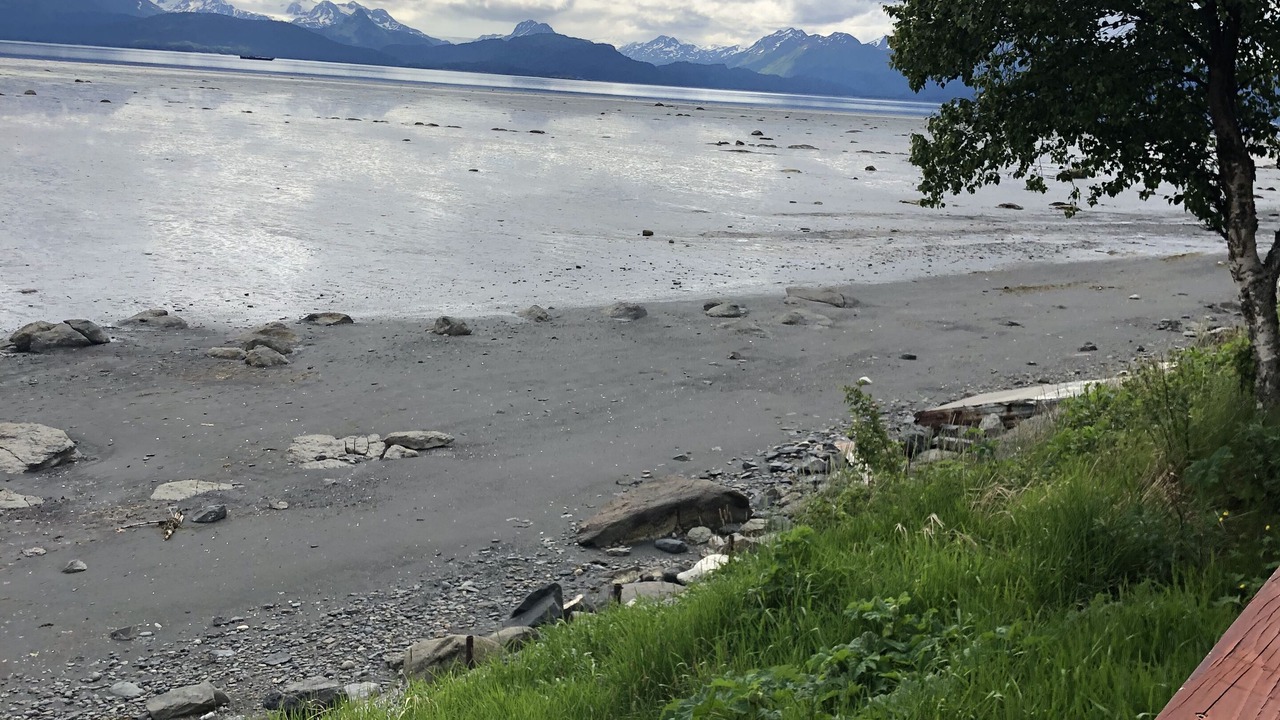 Photo of Others in Homer
