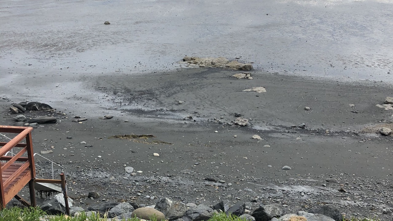 Photo of Others in Homer