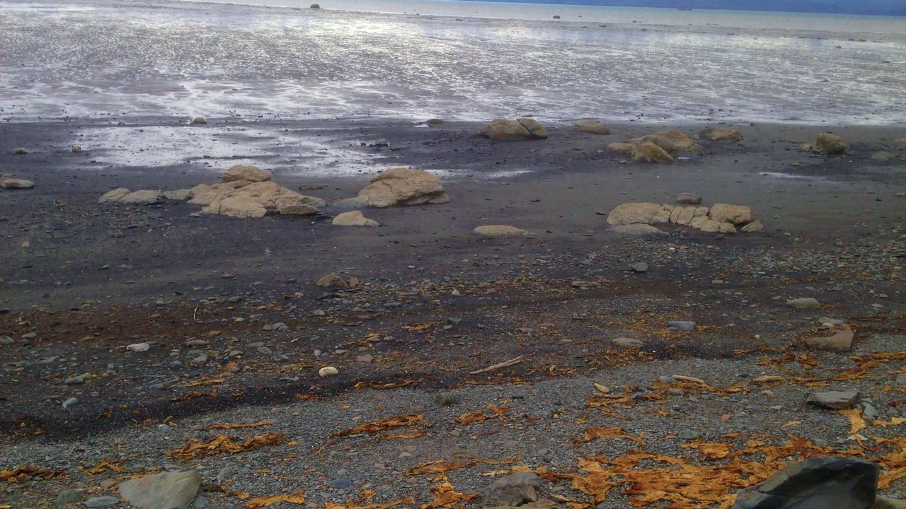 Photo of Others in Homer