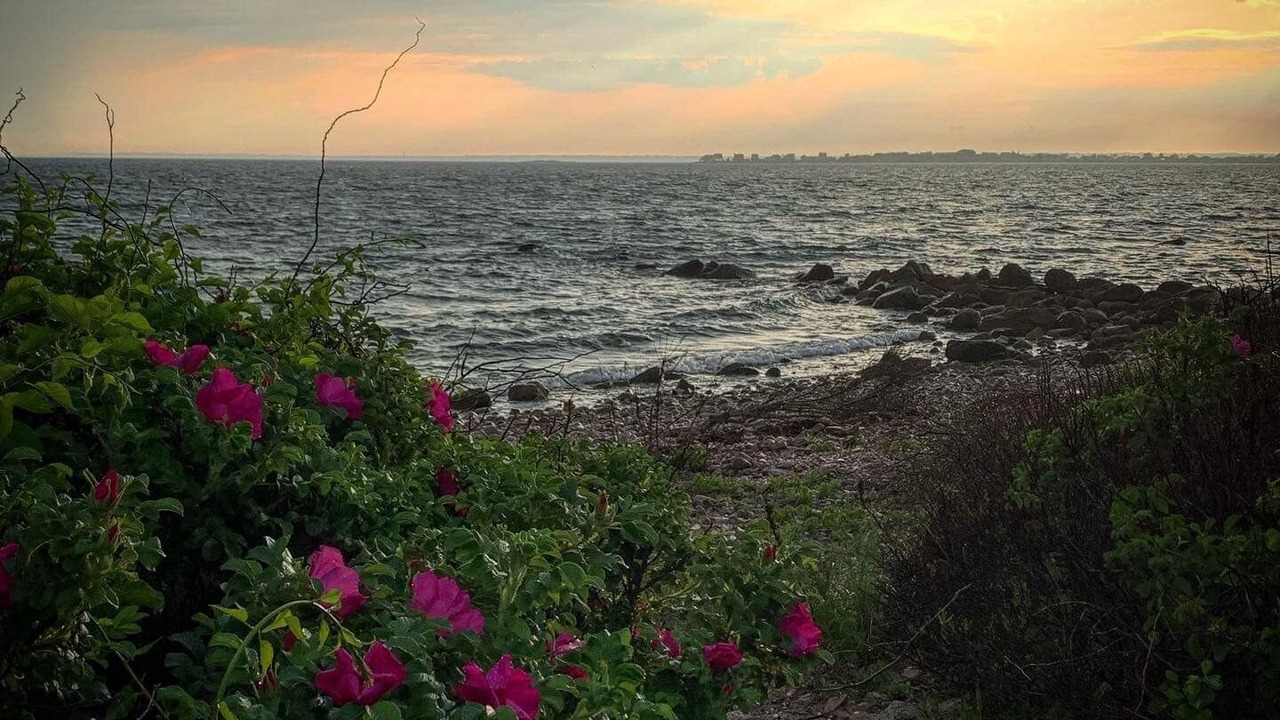 Photo of Outdoor in Fairhaven