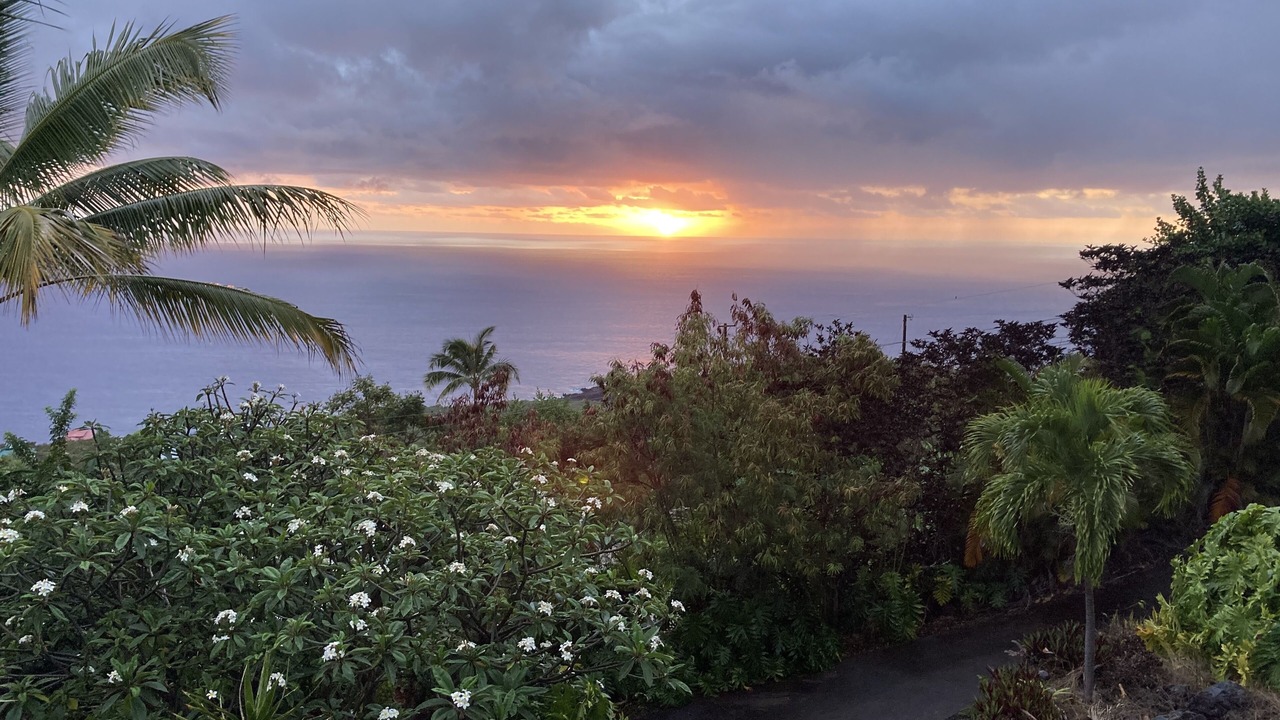 Photo of Others in Kona Paradise