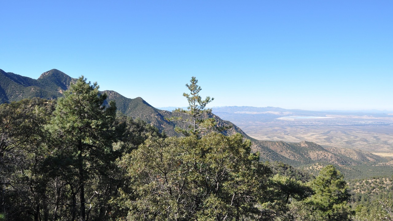 Photo of Others in Tubac