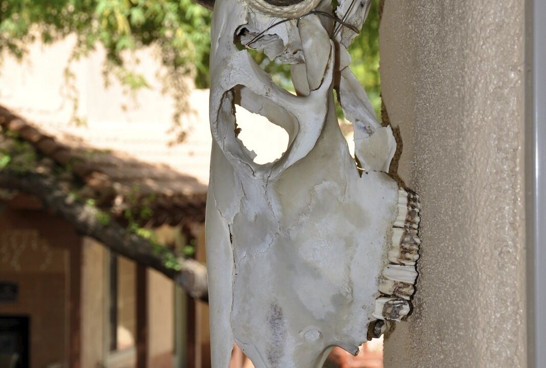 Photo of Outdoor in Tubac