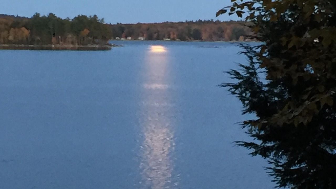 Photo of Others in Standish