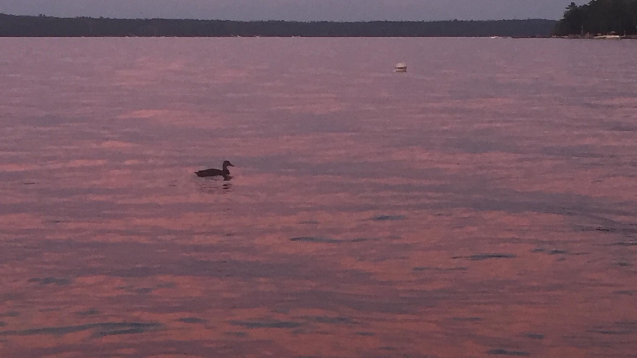 Photo of Others in Standish