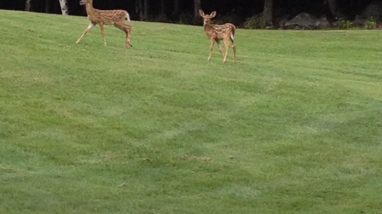 Photo of Others in Standish