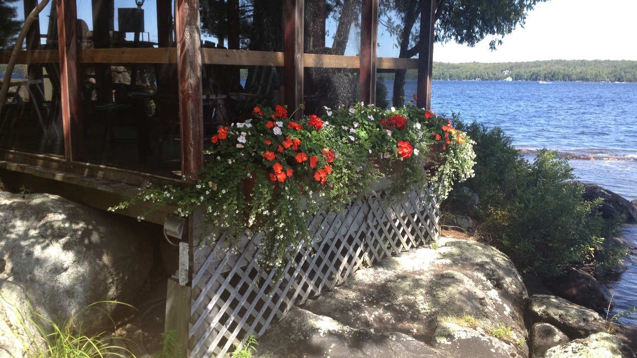 Photo of Outdoor in Bala