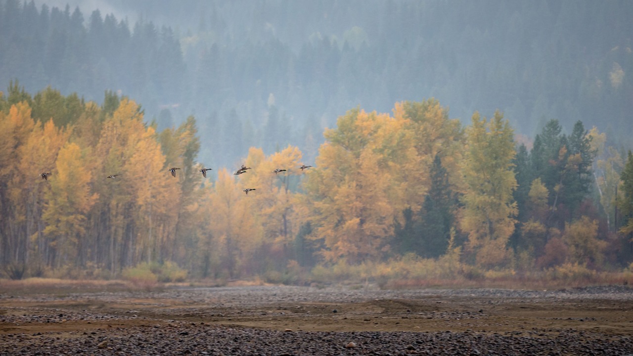 Photo of Others in Northport