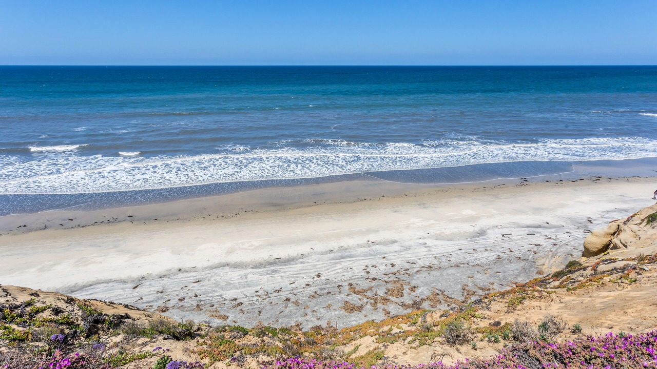 Photo of Others in Solana Beach