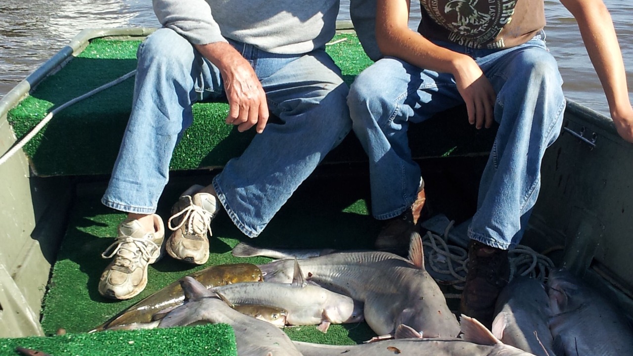 Photo of Others in Winfield