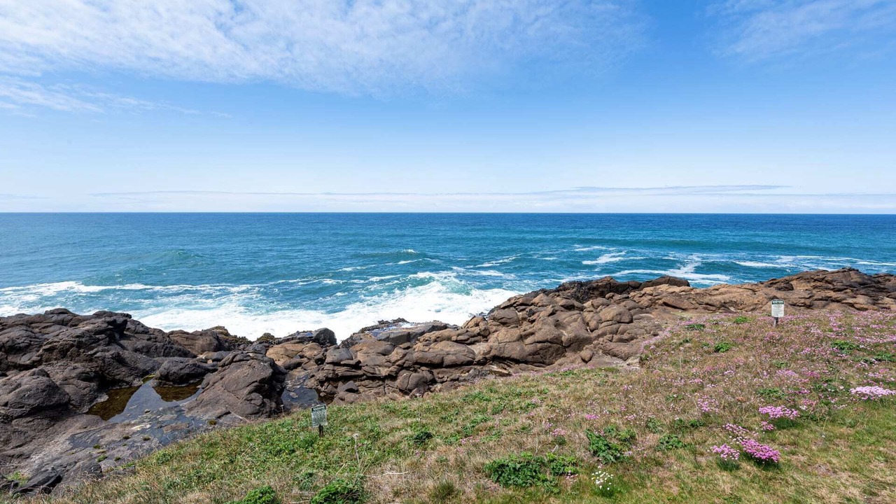 Photo of Others in Depoe Bay