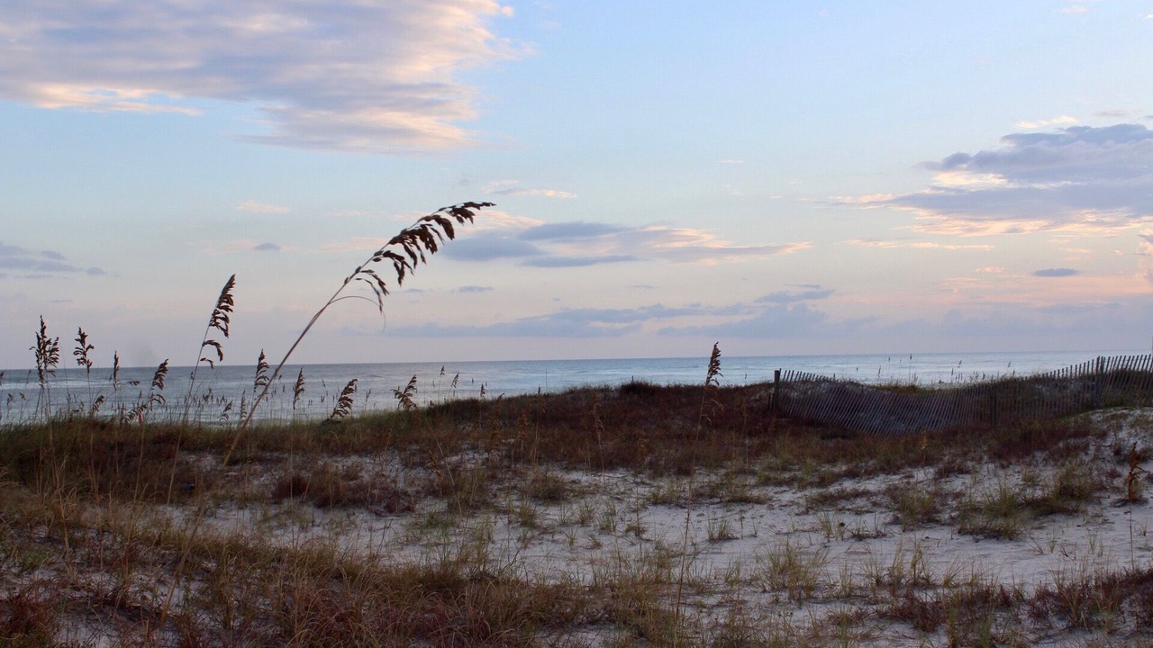 Photo of Others in Orange Beach
