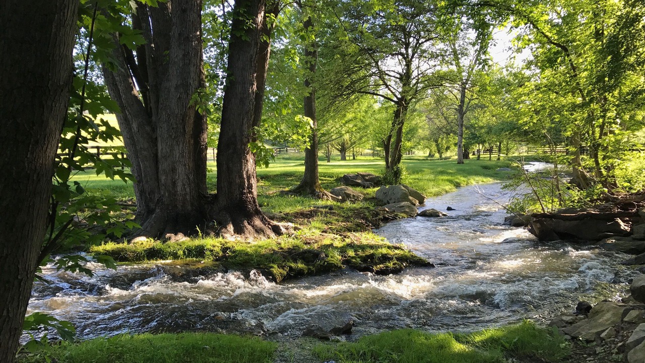 Photo of Others in Upperville