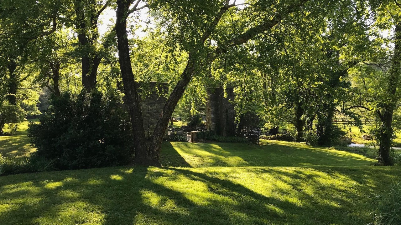 Photo of Others in Upperville