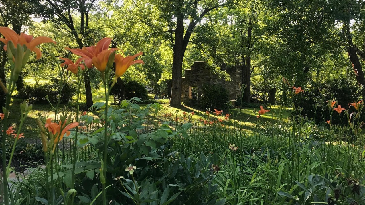 Photo of Outdoor in Upperville