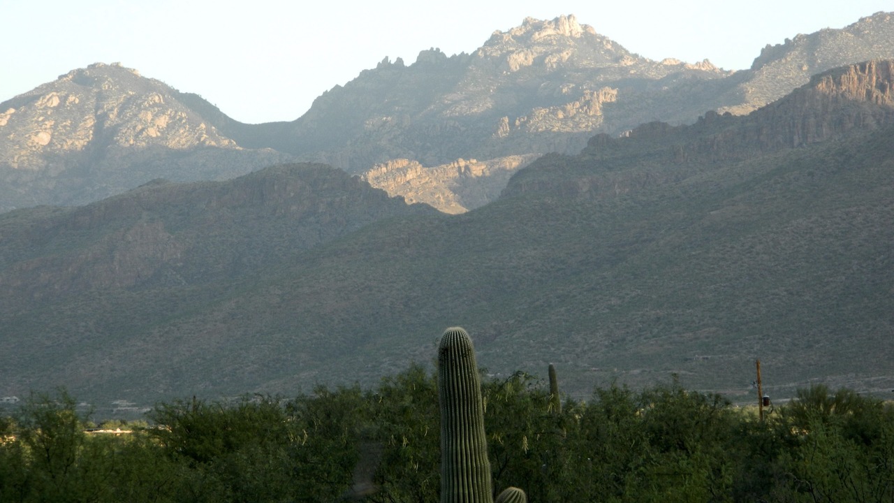 Photo of Others in Tanque Verde
