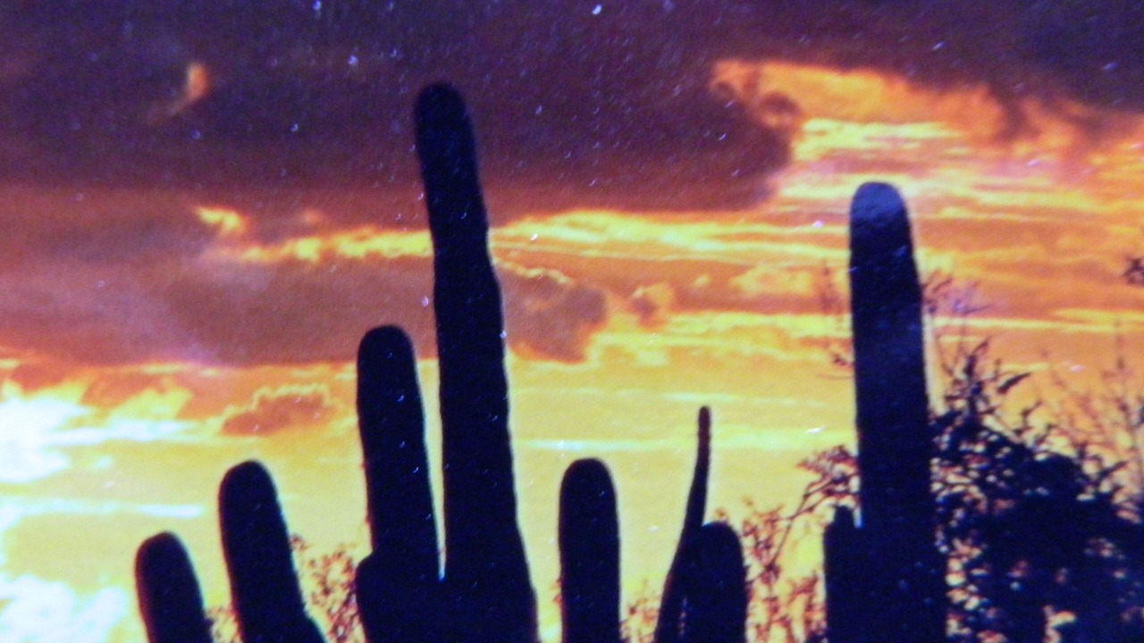 Photo of Others in Tanque Verde