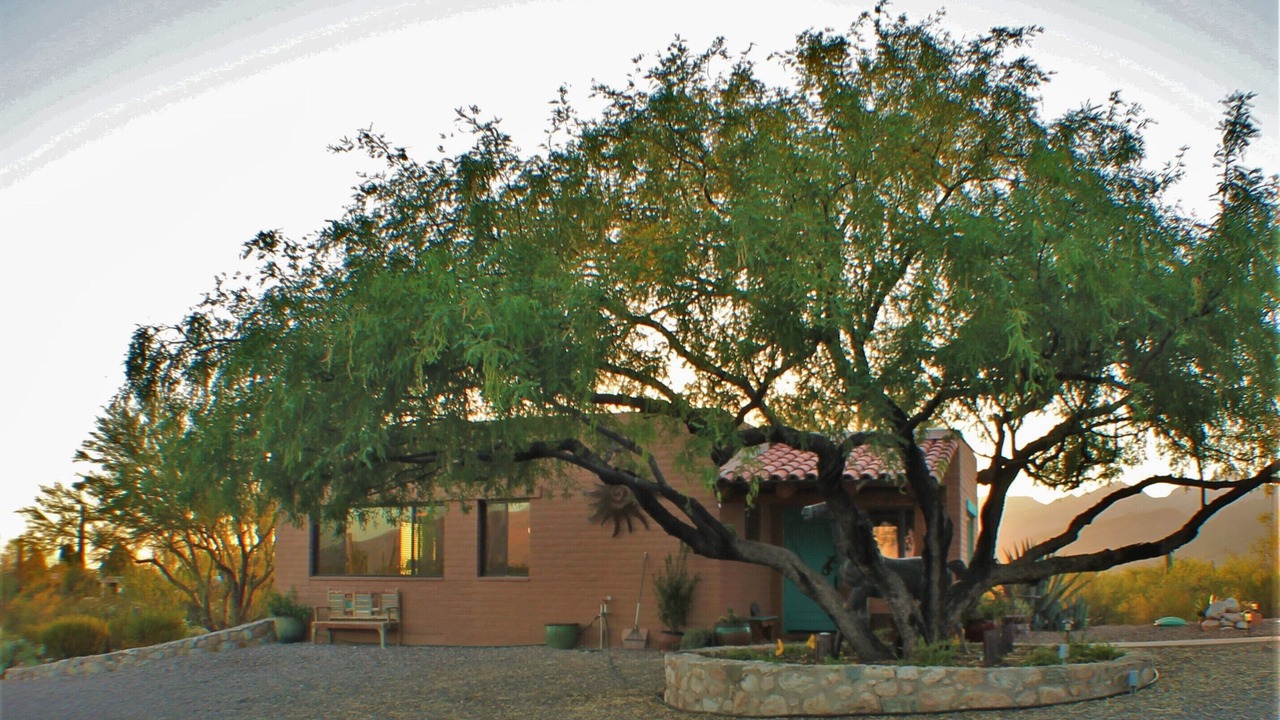 Photo of Others in Tanque Verde