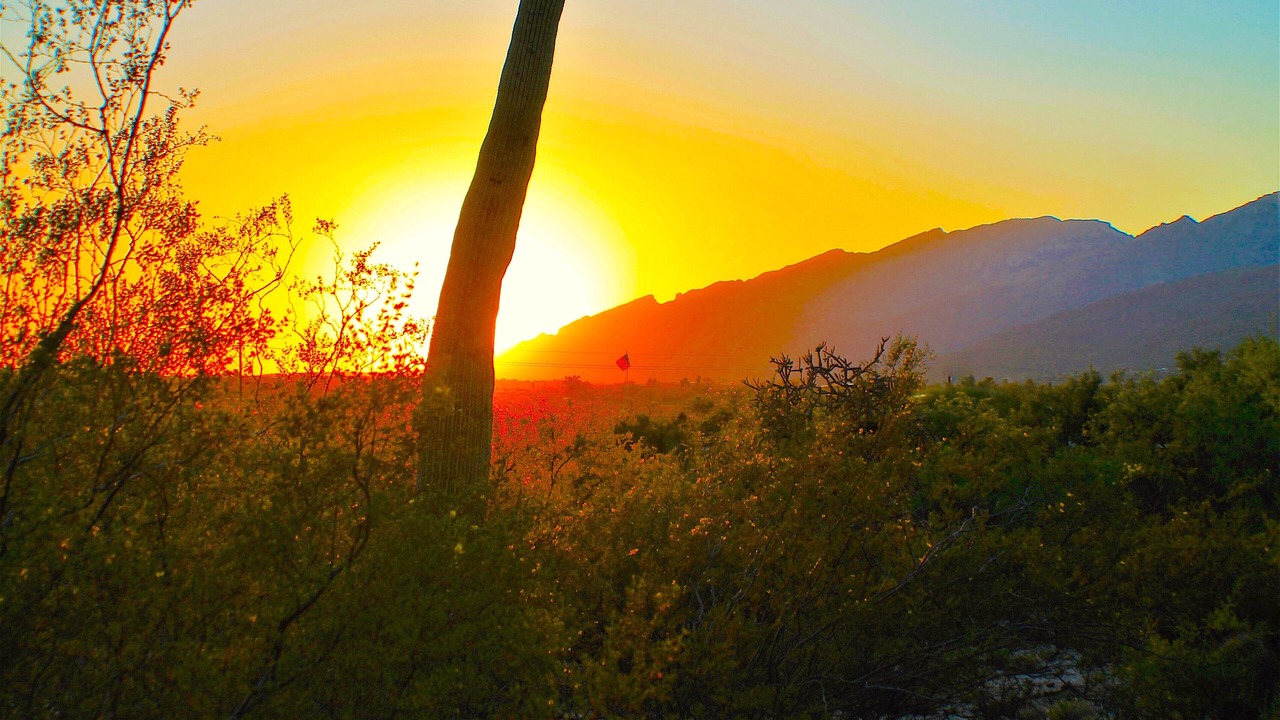 Photo of Others in Tanque Verde