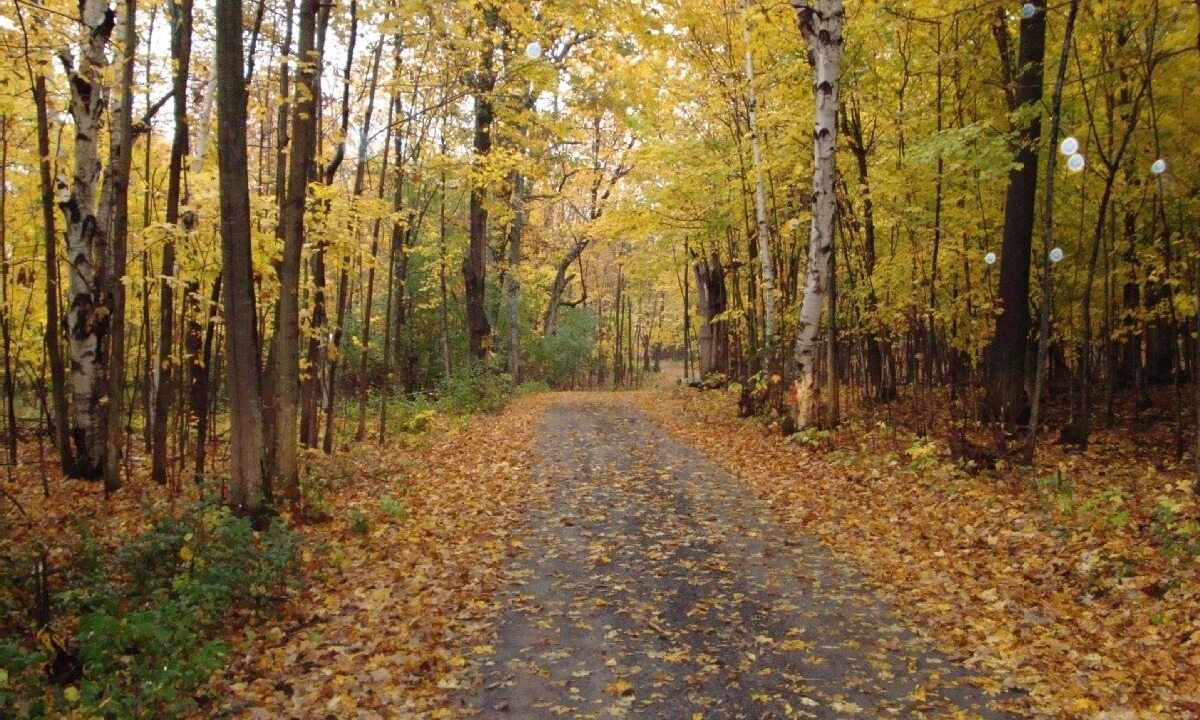 Photo of Others in Town of Hounsfield