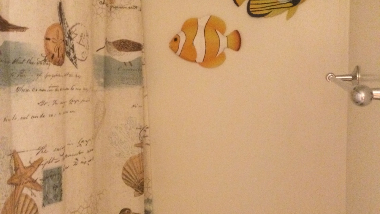 Photo of Bathroom in Historic Lahaina Front Street