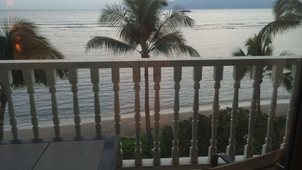 Photo of Others in Historic Lahaina Front Street