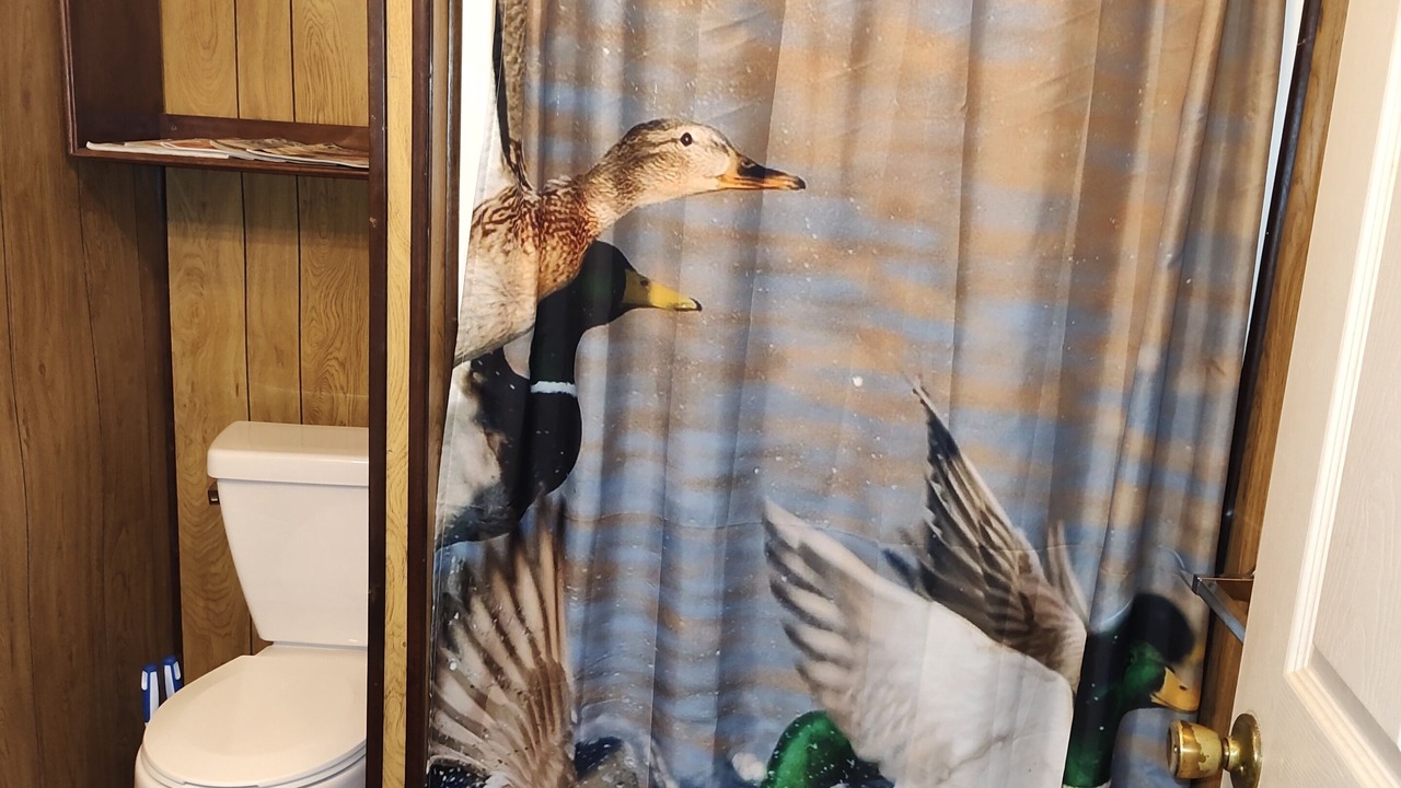 Photo of Bathroom in Bronson