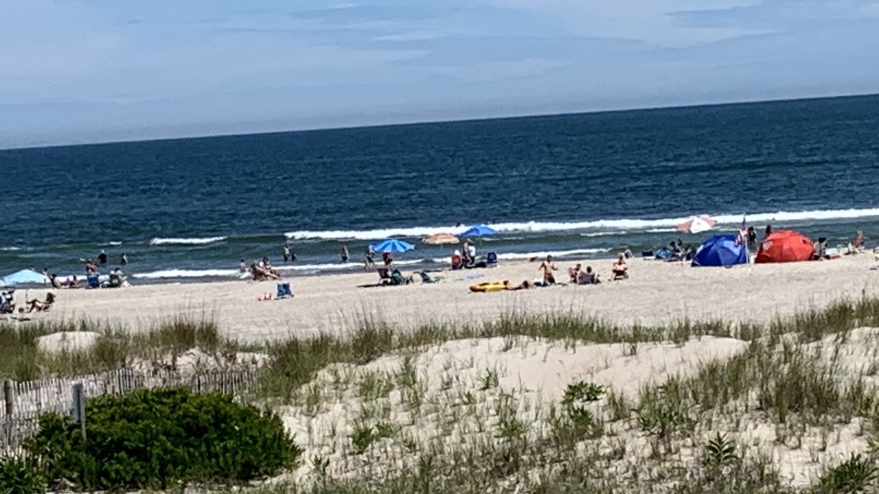 Photo of Others in South End