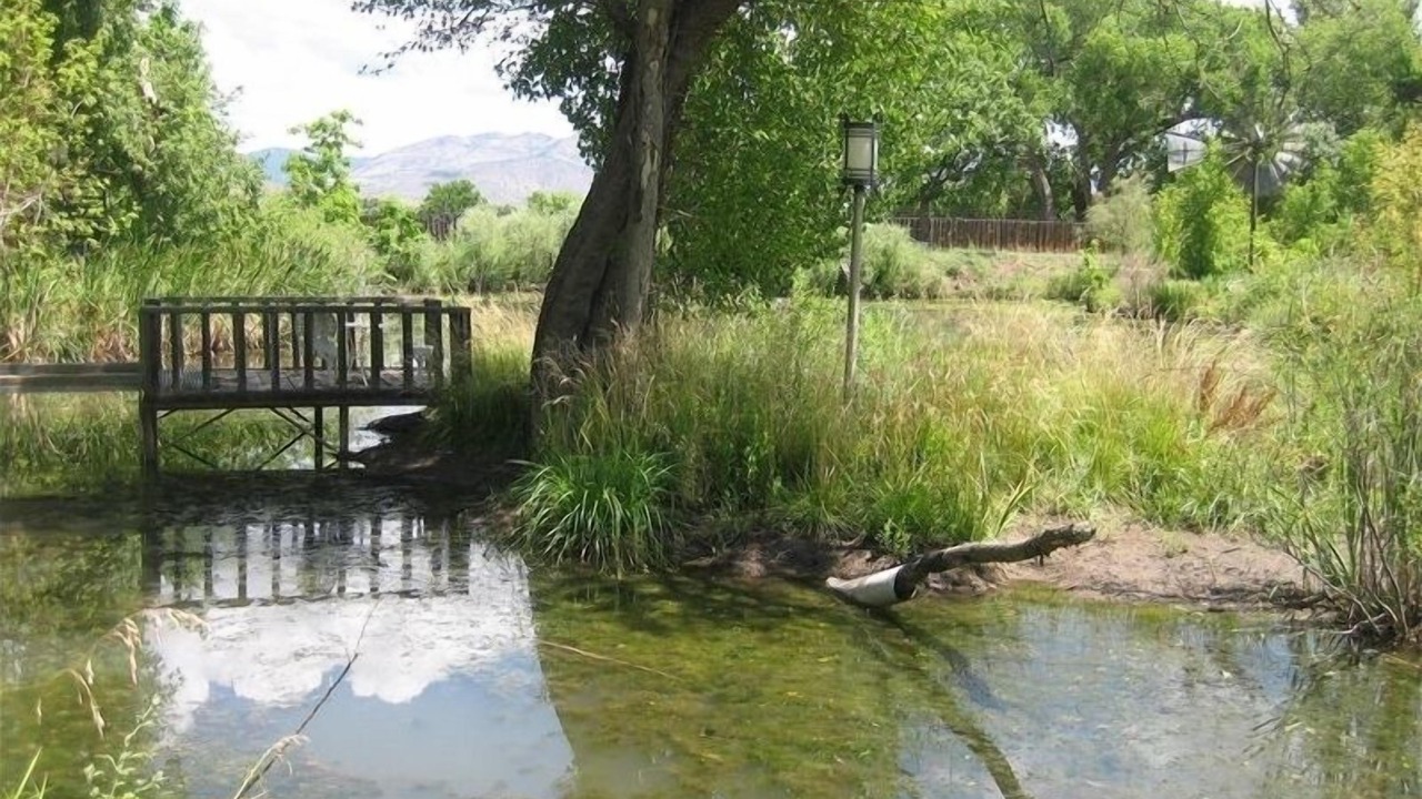 Photo of Others in Gila