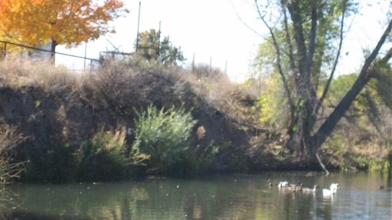 Photo of Others in Gila