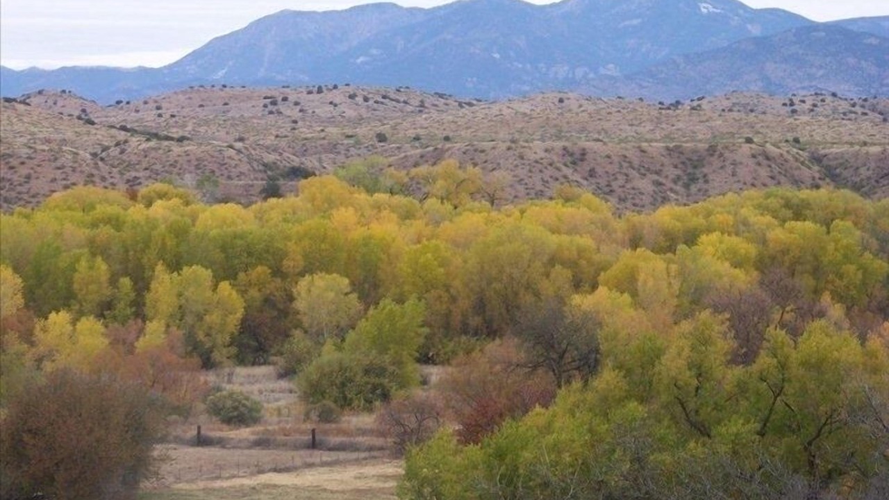 Photo of Others in Gila