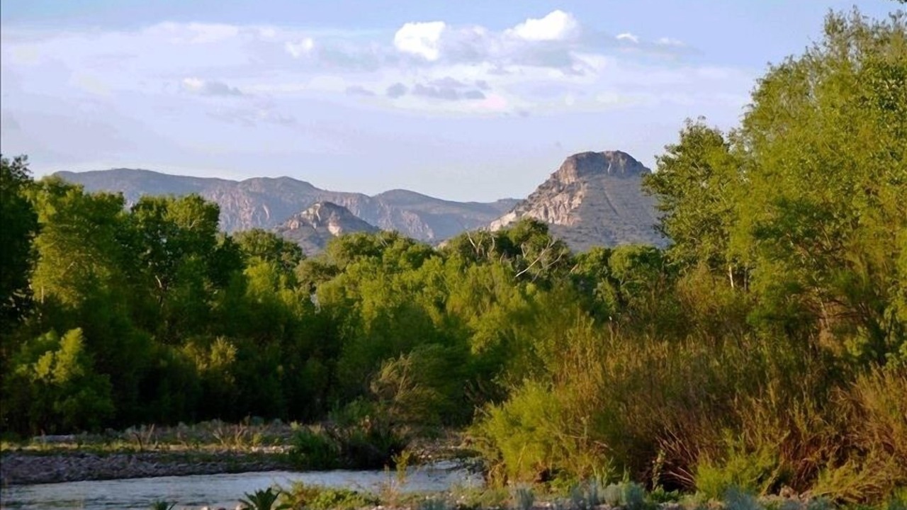 Photo of Others in Gila